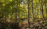 TBD Hunting Club Road - Photo 25