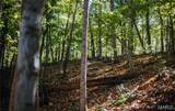 TBD Hunting Club Road - Photo 26