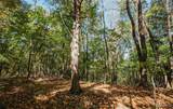 TBD Hunting Club Road - Photo 28