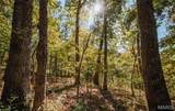 TBD Hunting Club Road - Photo 30