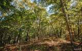 TBD Hunting Club Road - Photo 31