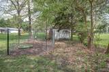 23253 Greenapple Lane - Photo 48