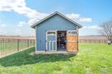 1201 Pisa Drive - Photo 40