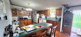 732 Roosevelt Street - Photo 7