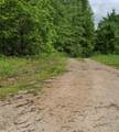 Co rd 417 Clearwater Mountain - Photo 7