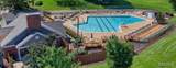 1441 Thrush Place - Photo 38
