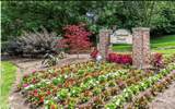 1441 Thrush Place - Photo 40