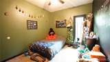 12583 Regent Oak Dr - Photo 29