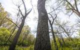 17816 Powerline Road - Photo 30