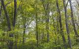 17816 Powerline Road - Photo 35