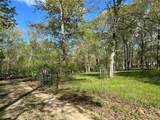 323 Shamrock Lane - Photo 6
