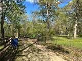 323 Shamrock Lane - Photo 82