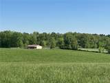 9505 County Road 250 - Photo 11