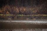 10000 Rieder Road - Photo 17