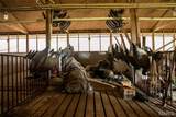 10000 Rieder Road - Photo 45