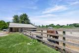 4734 Drda Lane - Photo 38