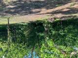12768 Maness Road - Photo 23