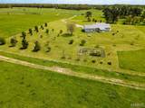 13033 Shafer Road - Photo 46