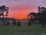 13033 Shafer Road - Photo 52