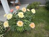 13033 Shafer Road - Photo 58