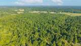 000 County Road 606 - Photo 16