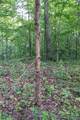 000 County Road 606 - Photo 34