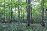 000 County Road 606 - Photo 35