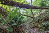 000 County Road 606 - Photo 43