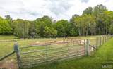 798 Karbers Ridge Road - Photo 82