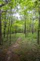 798 Karbers Ridge Road - Photo 92