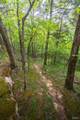 798 Karbers Ridge Road - Photo 94