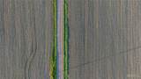 000 County Road 440 - Photo 12