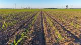 000 County Road 440 - Photo 18