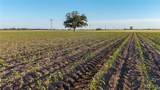 000 County Road 440 - Photo 19