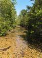 29156 Highway 21 - Photo 30