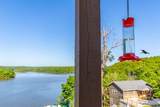 28035 Vasser Lane - Photo 34
