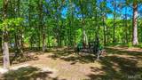 28035 Vasser Lane - Photo 92