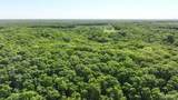 43 +/- Ac Hagedorn Lane - Photo 14
