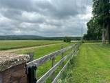 2412 County Road 53 - Photo 61