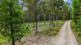 299 Whitetail Ridge - Photo 14