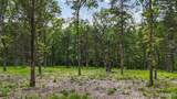 299 Whitetail Ridge - Photo 8