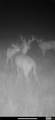 43335 Highway A - Photo 42