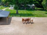 432 Kelly Drive - Photo 70