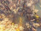 TBD Van Horn Road - Photo 33