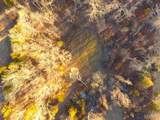TBD Van Horn Road - Photo 34