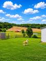 1504 Olive Road - Photo 7