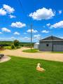 1504 Olive Road - Photo 10