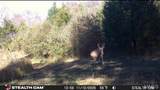 1669 Us Hwy 45 - Photo 76