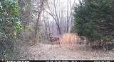1669 Us Hwy 45 - Photo 78