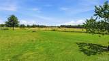13650 Quail Drive - Photo 31